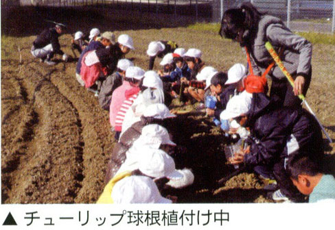 農楽苦（のらくろ）花園でチューリップの球根植付け会